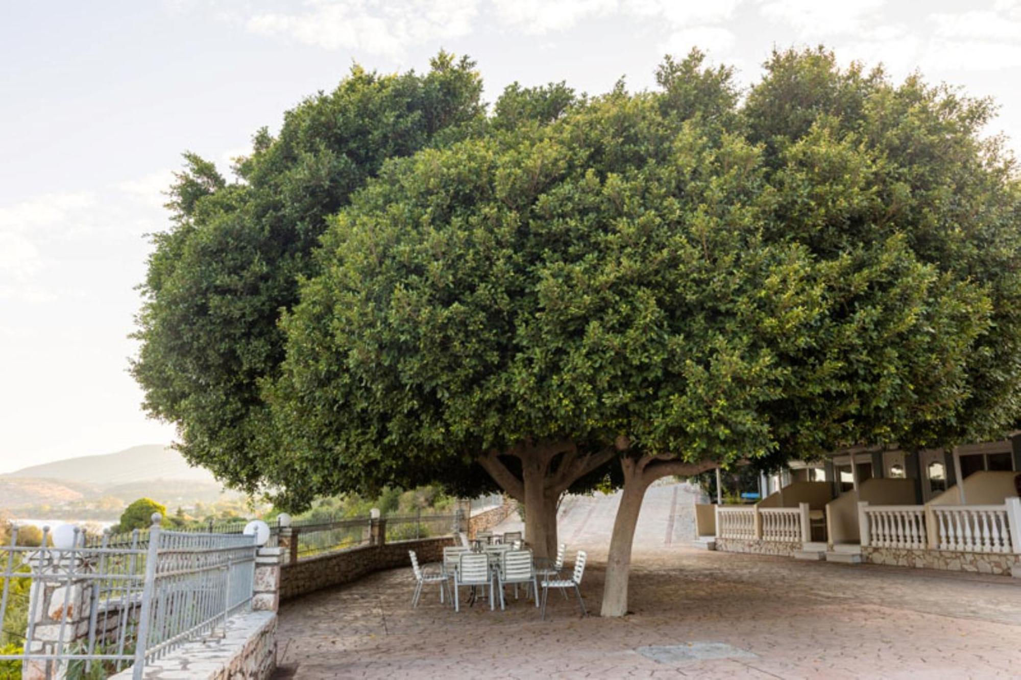 Pansion Koroni L'Antic Hotel Екстериор снимка